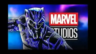 The Panther's Legacy: Who Will Wear the Mask Next?