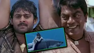 Prabhas Fighting With Shark Popular Scene || Chatrapathi Movie Scenes || TFC Hit Scenes