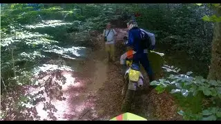 Angry forester vs dirt bike-GSM