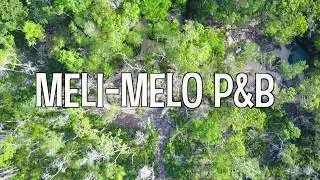 Eco-friendly Jungle House: Meli-Melo P&B