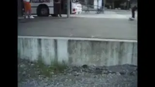Reell-Swiss SkateShot 2006