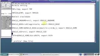 Install Oracle 11g on Solaris  step by step