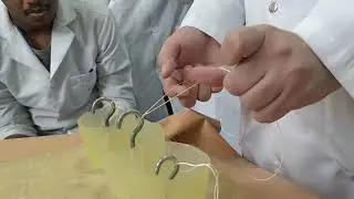 Operative surgery 2 ksmu