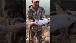 Mangla dam fishing new report | all in one vlogs #mangla #fishingdaily #dam #mangladamfishing #fish