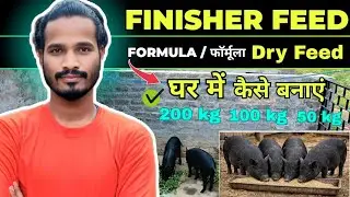 Finisher Feed Formula || Pig Finisher Dry Feed Formula || 100kg || अपने घर में तैयार करो खुद से ✅