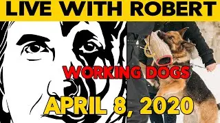 Working Dogs Training LIVE Chat - Protection Dog, Sport Dog, Obedience Dogs and Working Line Dog Q&A