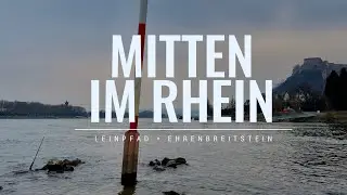Mittel im Rhein