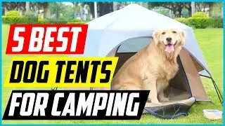 Best Dog Tents For Camping [Top 5 Picks]