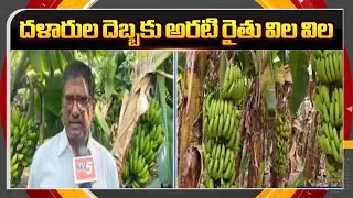 అరటి రైతు విల విల | Anantapur Banana Farmers Face Huge Loss || TV5 News ApT