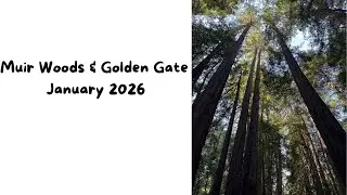 Muir Woods & Golden Gate January 2026