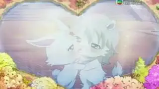 Top 5 jewel pets couples