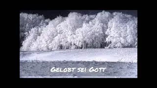 Gelobt sei Gott -- NAK-Bez.Chor Mannheim/Weinheim, Liveaufnahme