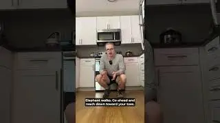 Прогулки на слонах