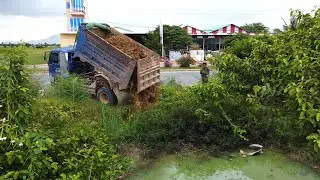First Start New PROJECT!! LANDFILL Delete Deep Land Along Busy Road Use Strong Dozer & 5Ton Truck.