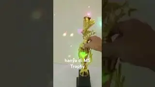 yang mencari piala cek di shopee msh trophy