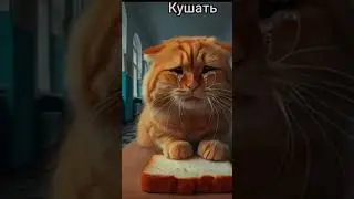 #рек #залетит #capcut #мем #spiderman #marvelspiderman2 @QWBT