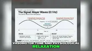 Unlock Peak Coherence: The 0.1 Hz HACK Explained #shorts