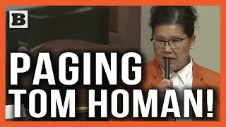 Minnesota Democrat Admits on Floor of State House She Is an Illegal Immigrant
