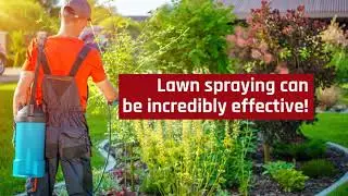 Why Choose Lawn Spraying in Plantation    Accurate Pest Control, Inc