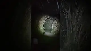 Creepy ringfort Ireland