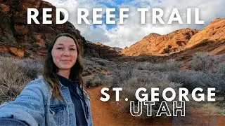 Hiking Cottonwood Canyon Trail in Red Rock Conservation Area St. George Utah