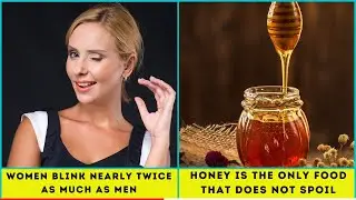 Did You Know? Amazing Facts You Should Know #189 || Random Facts & information || Amazing Factz