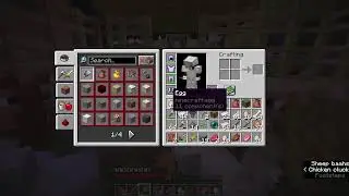Circus SMP!