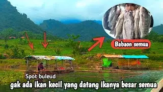 MANCING IKAN BABON SPOT BULED JATILUHUR