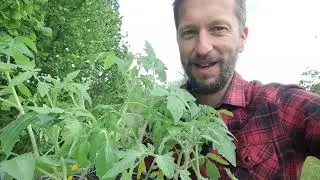Rétrospective au potager de mars à août 2021