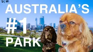 Why Kings Park, Perth is Australia&rsquo;s #1 Tourist Spot🌿