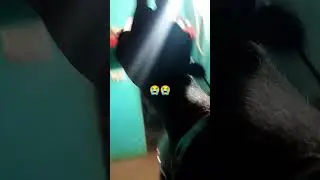 banaa Lage dashgo Sathi Bigad Lage guna #song #bhojpuri #shortvideo #sad #shot #viral