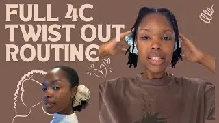How To Twist Out Your Natural Hair - FULL ROUTINE with Products