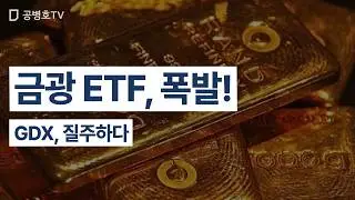 금광 ETF, 폭발! / GDX, 질주하다 [공병호TV]