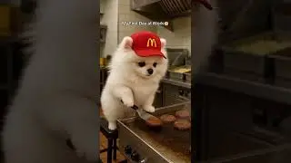 Puppy Chef Makes Burger#PuppyChef #CuteAnimals #aishorts  #FunnyPuppy #YouTubeShorts #AnimalLovers