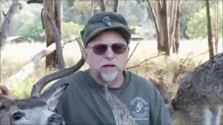 Nope Chuck testa