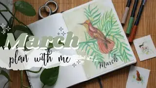 march 2020 bullet journal/ plan with me & flip through