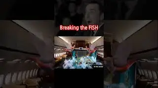 breaking the fishes  &hearts;  #funny #shorts #funnyvideo #fighting  #surajroxfunnyvibeo #memes AI