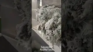 Squeezer Scuizer screw press for drying film Aceretech