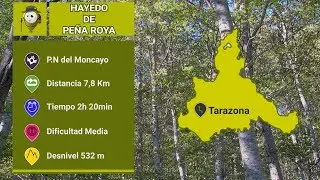 Hayedo de Pe&ntilde;a Roya | Rutas de senderismo en Zaragoza