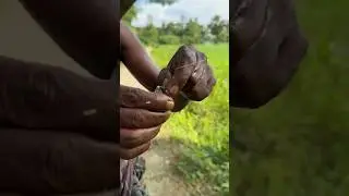 amazing village Hook Fishing #shorts