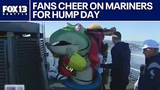 Fans spend hump day cheering Mariners on for ALCS Game 3 | FOX 13 Seattle