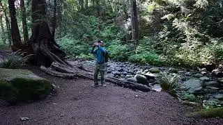 VLOGGER WILD LIFE PHOTOGRAPHER IN THE WOODS