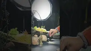 Food Photography Styling behind the Scene   #behindthescene #foodphotography #photoshootideas #food