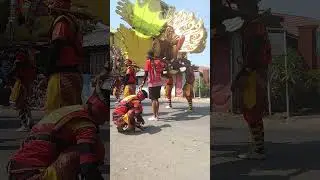 Singa barong keren...#arakarak #music #putragenades #singabarong