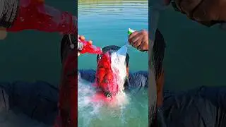 লাল পাওয়ার দিয়ে দুধ চলবে #shorts #shortsfeed #video #youtube #trending #viral #drink