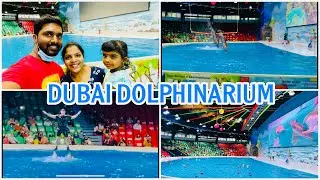 Dubai Dolphin&Seal Show||Best place to visit in Dubai||Dubai creek Park||Daksha's taste buds