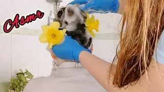 ASMR Relaxing Hair Wash for My Daughter and Daughter Washing My Hair 🫧 in Gloves 🧤 No Talking
