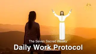Daily Work Protocol | The Seven Sacred Weeks' Meditation
