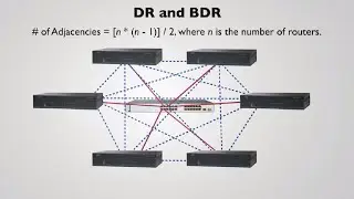 DR Router | CISCO CCNA