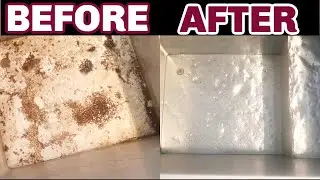 CHEST FREEZER DEEP CLEAN | HOW TO CLEAN A MOLDY CHEST FREEZER